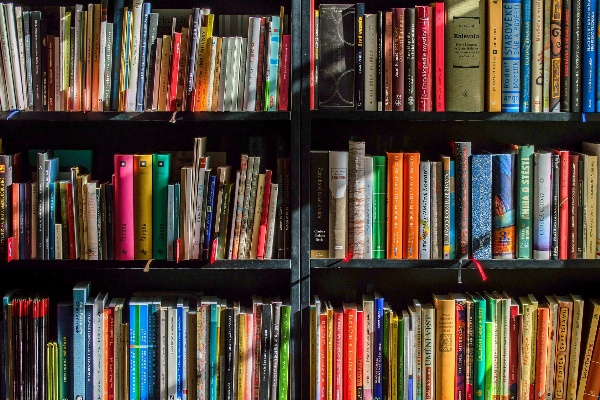 Detailansicht eines Bücherregals